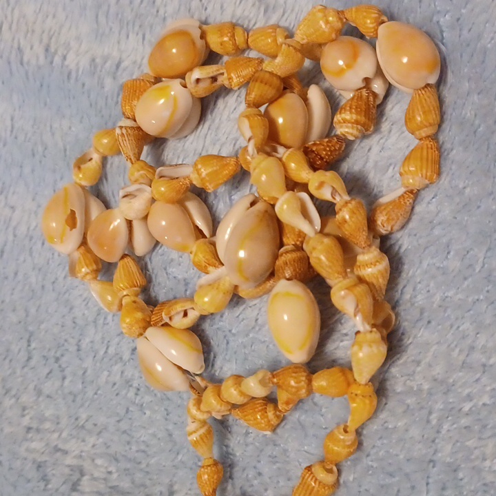 Shells Necklace.